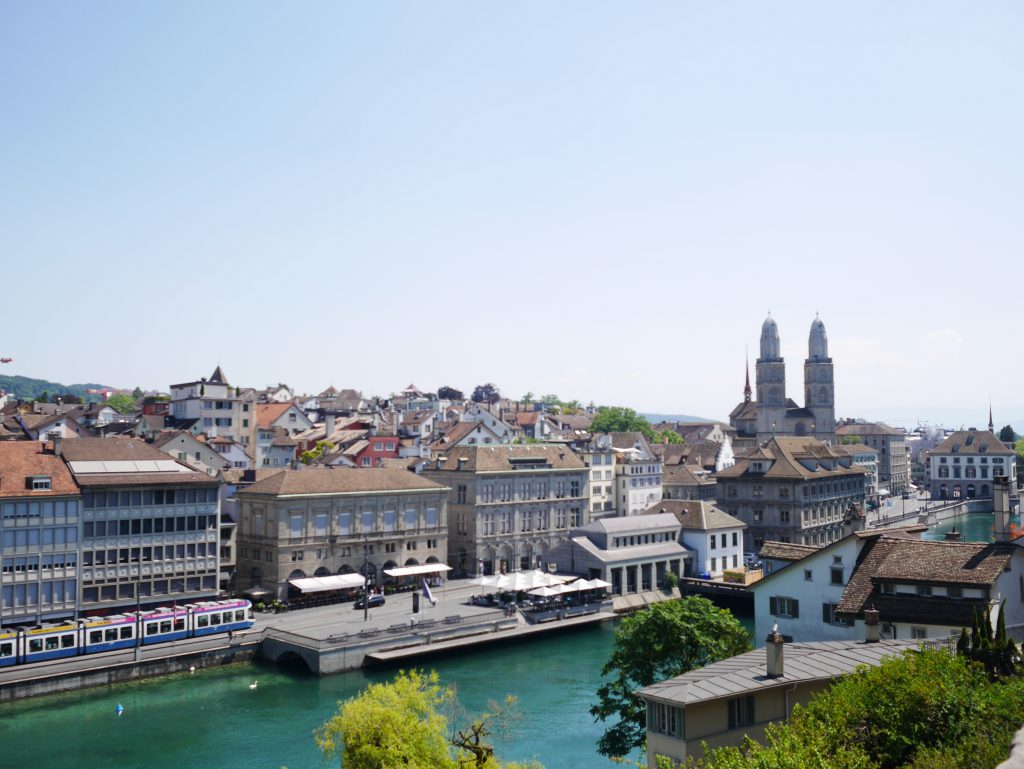 View Point From Lindenhof hill